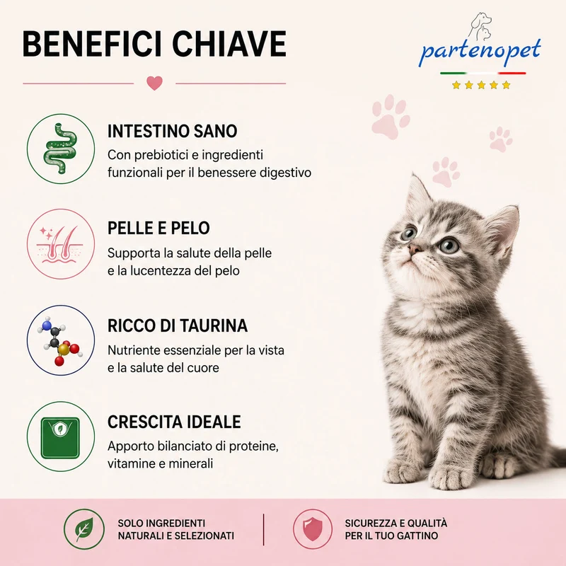 Partenopet Cat Kitten Maiale Pressato a Freddo 1,5 kg