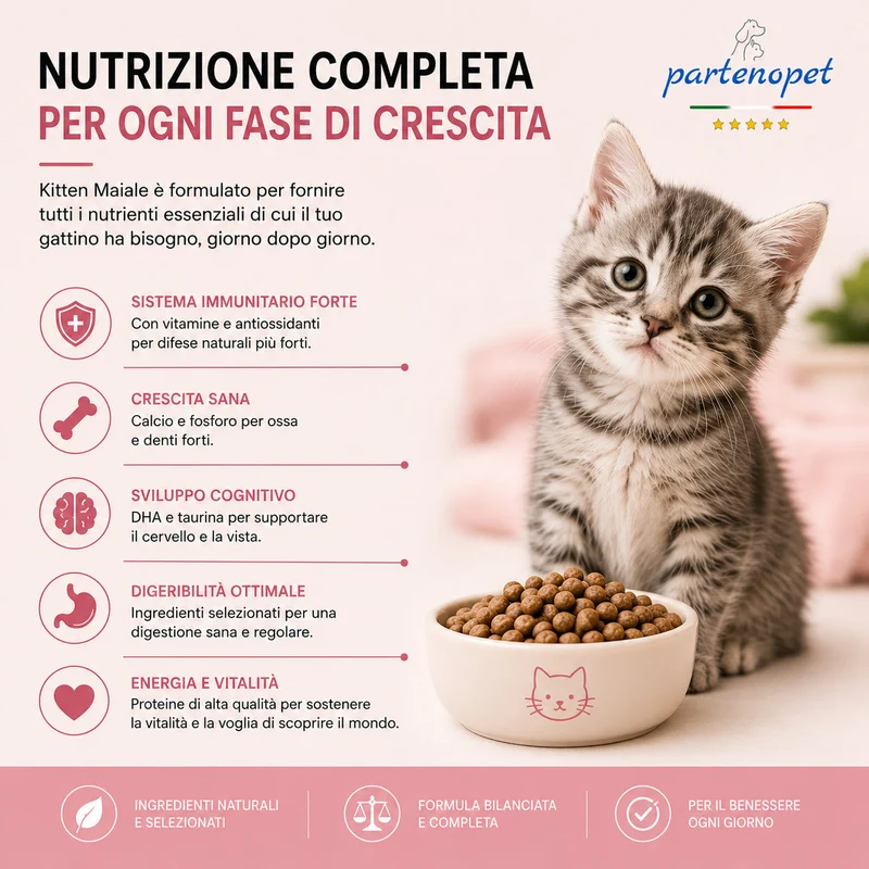 Partenopet Cat Kitten Maiale Pressato a Freddo 1,5 kg