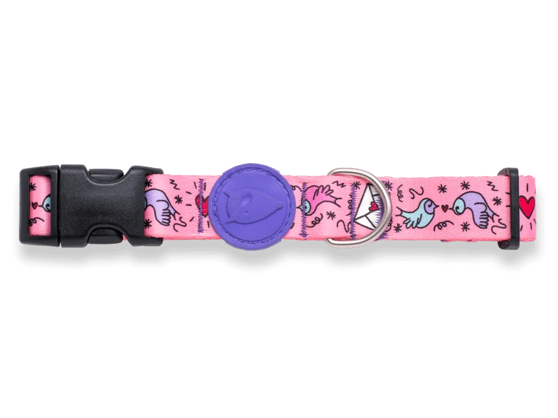 Collare "Sweet Tweet" RECYCLED - Morso