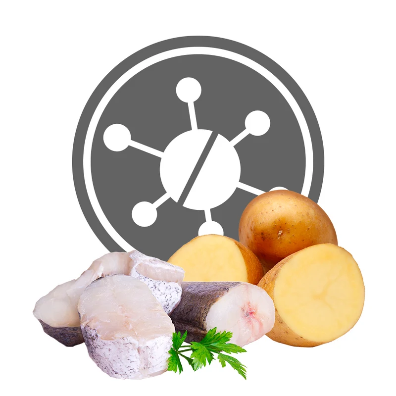 Exclusion Hypoallergenic Pesce e Patate Alimento Umido per Cani 400 g
