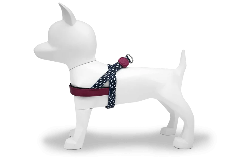 Pettorina norvegese "Power Flow" - Morso