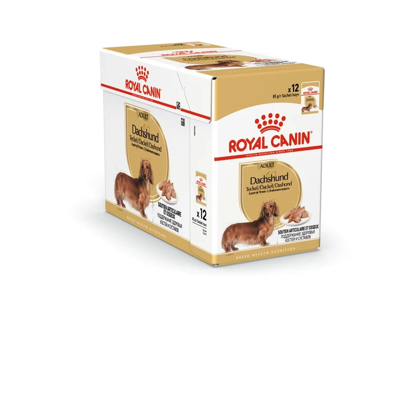 12x85g Royal Canin Dachshund Bassotto Cane