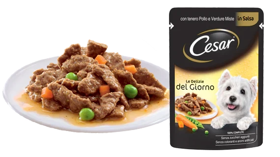 24x100g Cesar Delizie del Giorno Creations in Salsa Busta Gatti