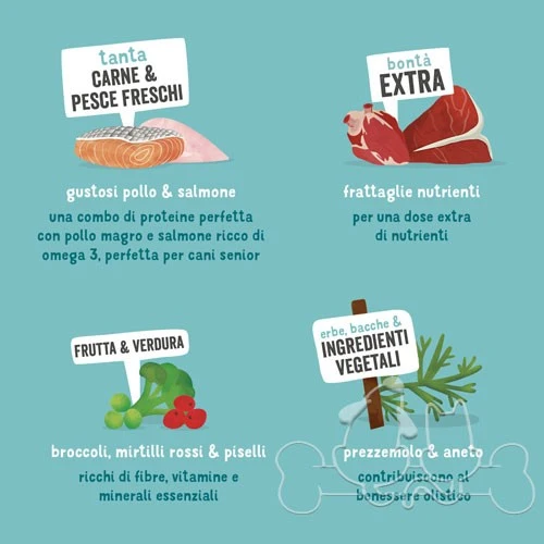 Edgard & Cooper umido cane Senior Pollo Salmone Broccoli e Mirtillo