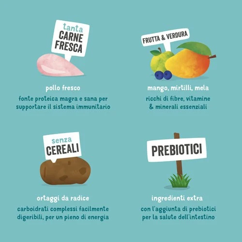 Edgard & Cooper Cane Adult Pollo Ruspante Mango e Mirtillo