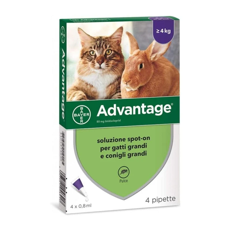 Bayer Advantage Spot-On gatto e coniglio