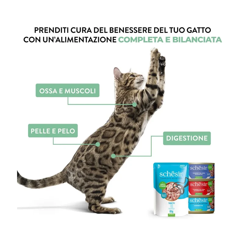6x85g Schesir Cat in Jelly Mix Pesce e Carne - Umido Gatto