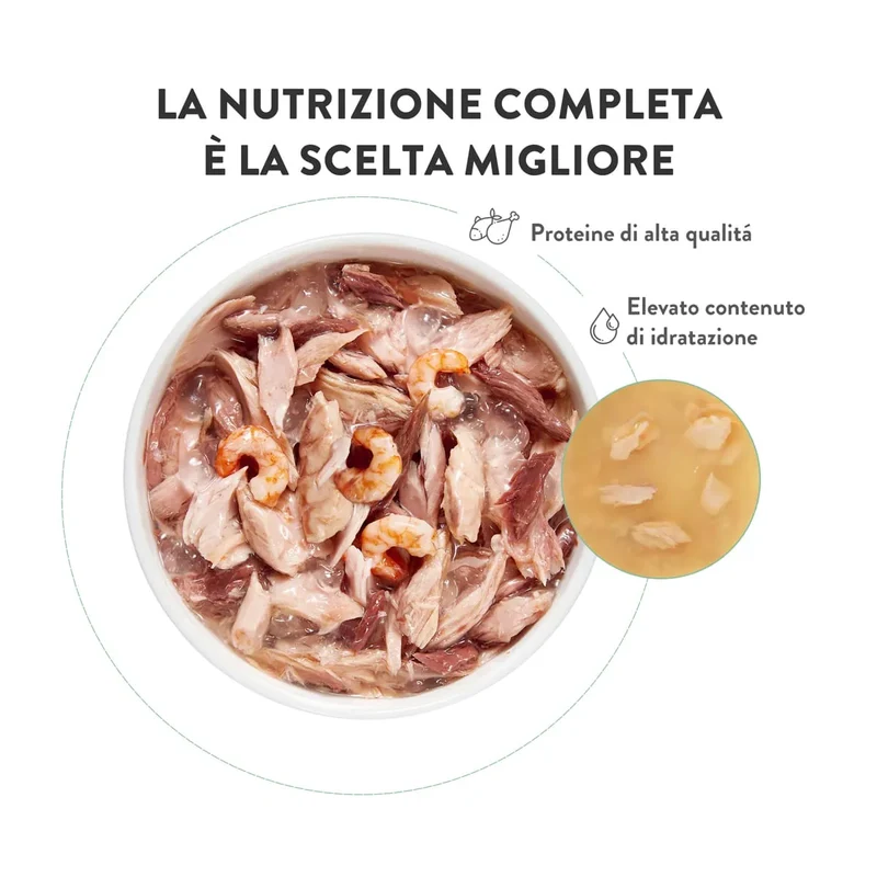 6x85g Schesir Cat in Jelly Mix Pesce e Carne - Umido Gatto