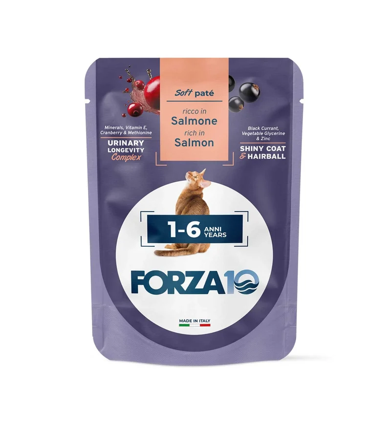 FORZA10 Maintenance Adult 1-6 Salmone Patè 80g