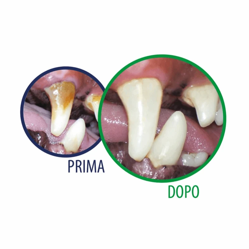 Tropiclean Dentifricio gel per cuccioli