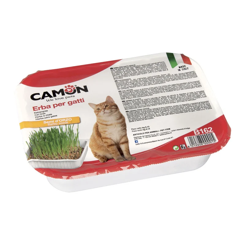 Camon Erba gatta