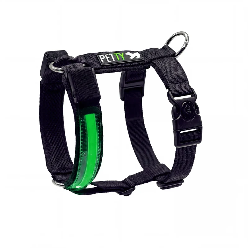Pettorina H LED Verde Pettyitalia Cane