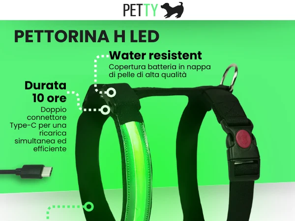 Pettorina H LED Verde Pettyitalia Cane
