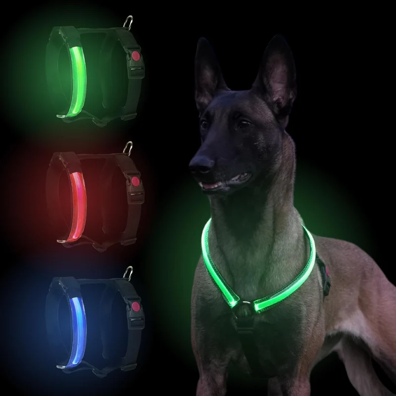 Pettorina H LED Verde Pettyitalia Cane