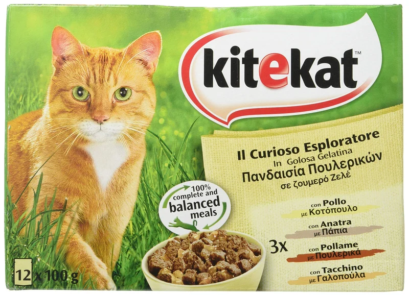 Kitekat Busta Curioso Esploratore con pollo Gatto 24x85g