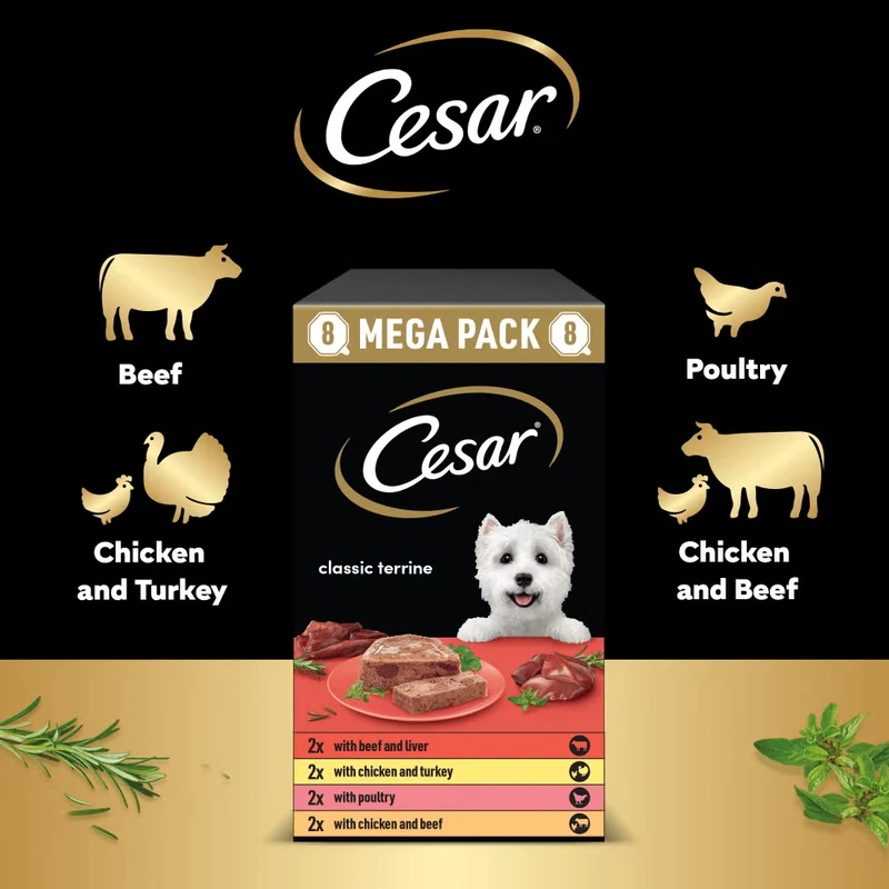 CESAR Classic Terrine Variety Pack Cane 24x150g