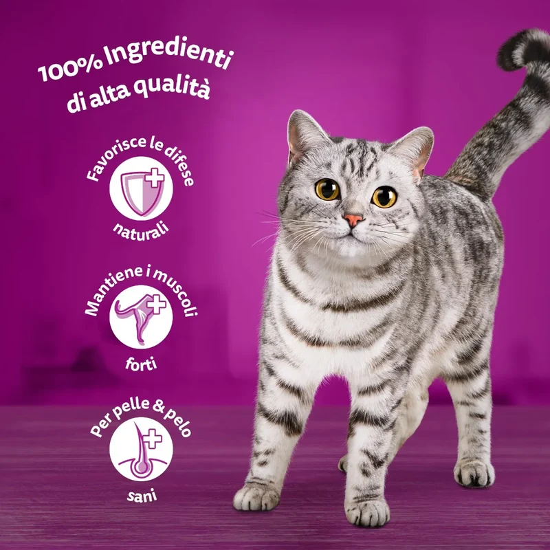 Whiskas Pranzetti Pesce Gatto 6x50g