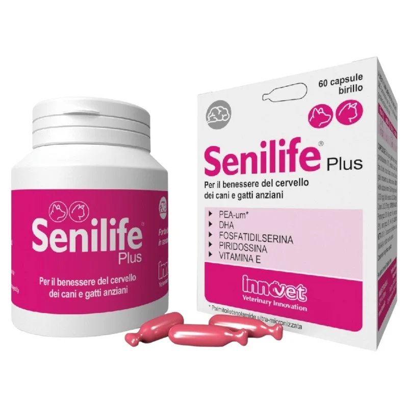 INNOVET Senilife Plus Cane e Gatto 60cpr