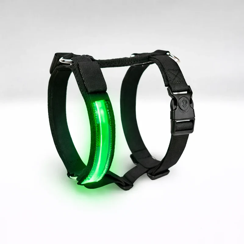 Petty Pettorina H M Verde