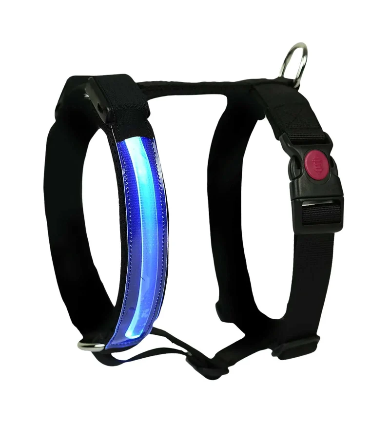 Petty Pettorina H Led Blu Taglia M Cane 15-30 Kg