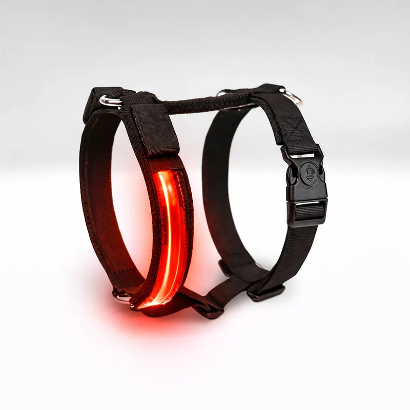 Petty Pettorina H Led Taglia L Cane Rosso Guida Taglie Sito: 15-40 Kg
