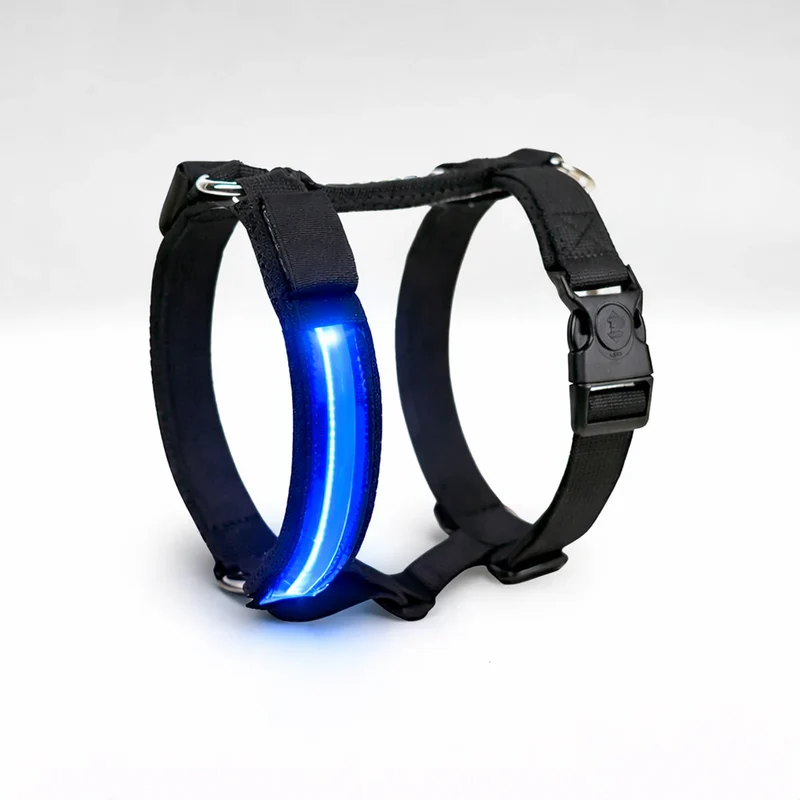 Pettorina H Led L Blu Cane Guida Taglie Ufficiale Sito: Peso Cane Indicativo 15-40 Kg