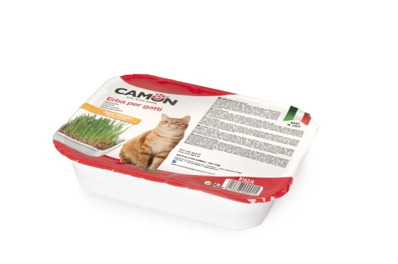 Camon Erba Gatto Orzo 130g - Vaschetta Coltivabile Benessere Digestivo