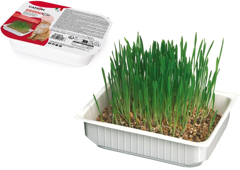 Camon Erba Gatto Orzo 130g - Vaschetta Coltivabile Benessere Digestivo