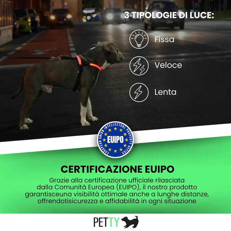 Petty Pettorina Norvegese LED Blu S - Sicurezza Totale 500m