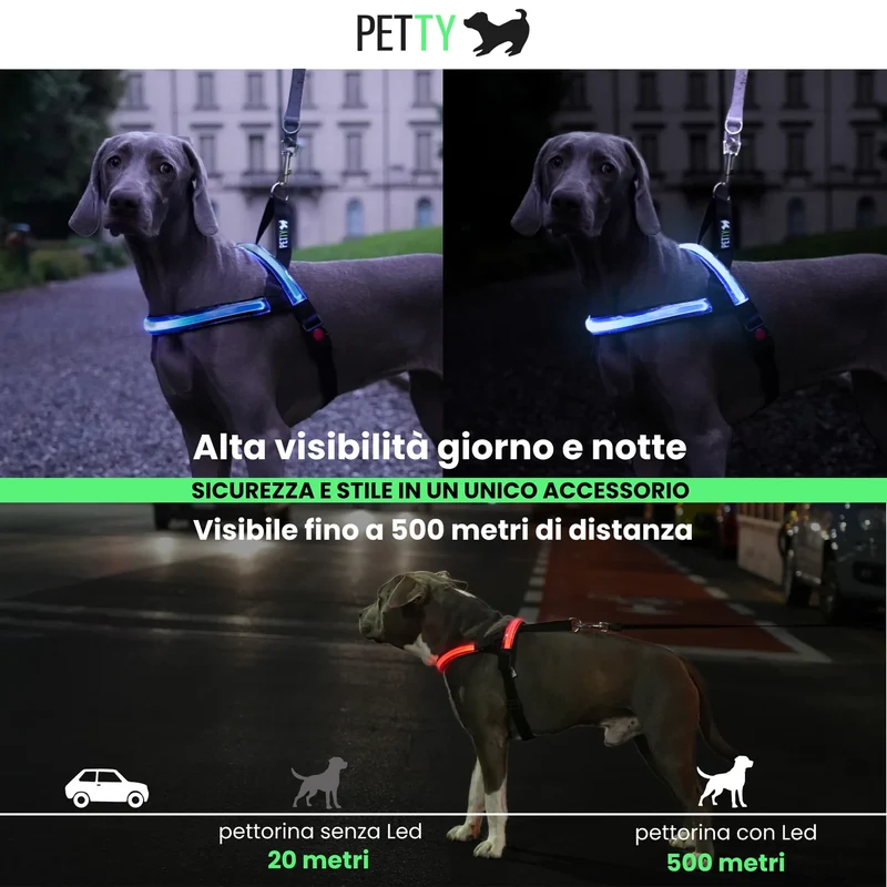 Petty Pettorina Norvegese LED Blu 2XS - Visibilità 500m Ricaricabile