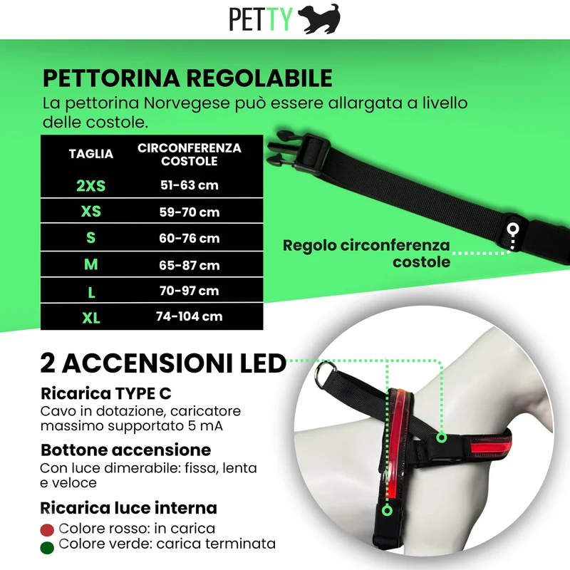 Petty Pettorina Norvegese LED Blu 2XS - Visibilità 500m Ricaricabile