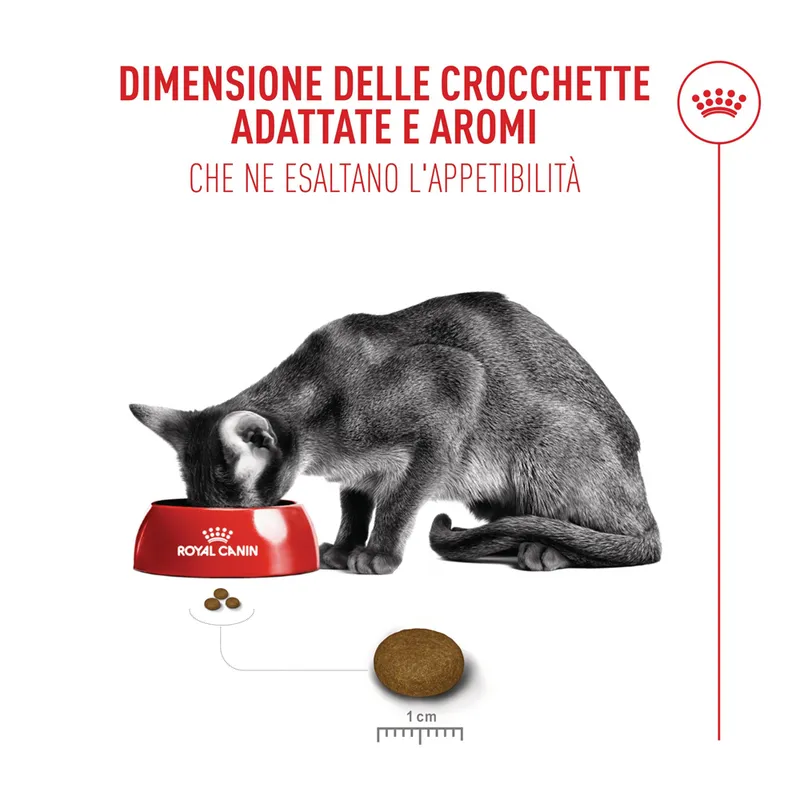 Royal Canin Fussy Exigent 10kg Crocchette Gatti Esigenti