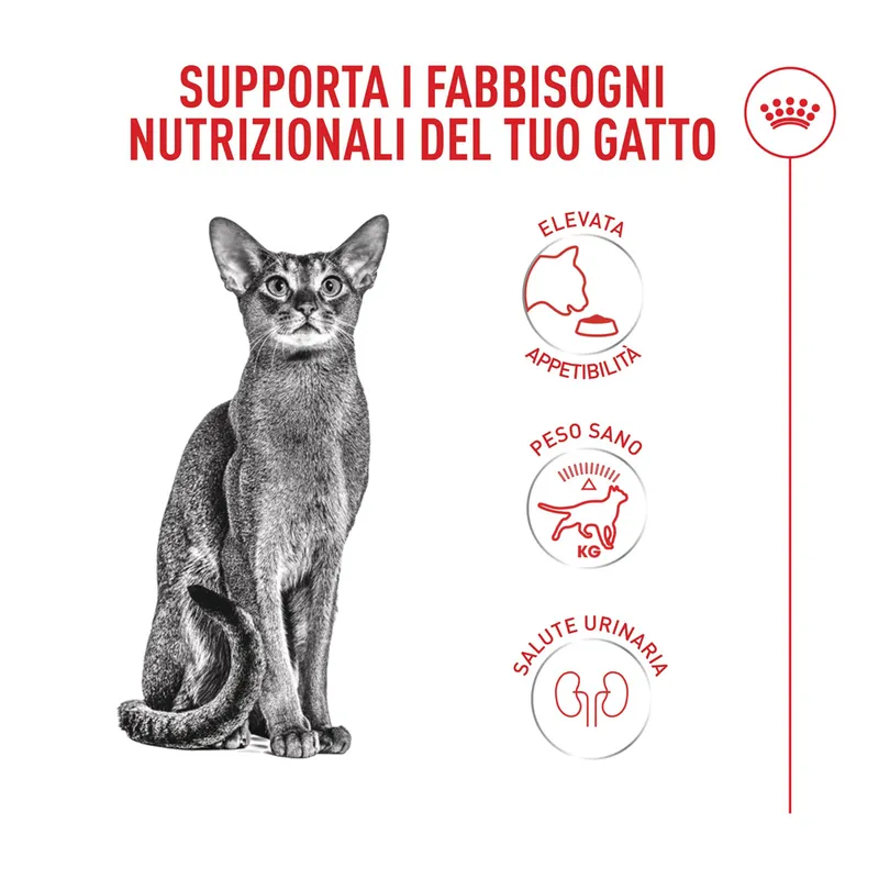 Royal Canin Fussy Exigent 10kg Crocchette Gatti Esigenti