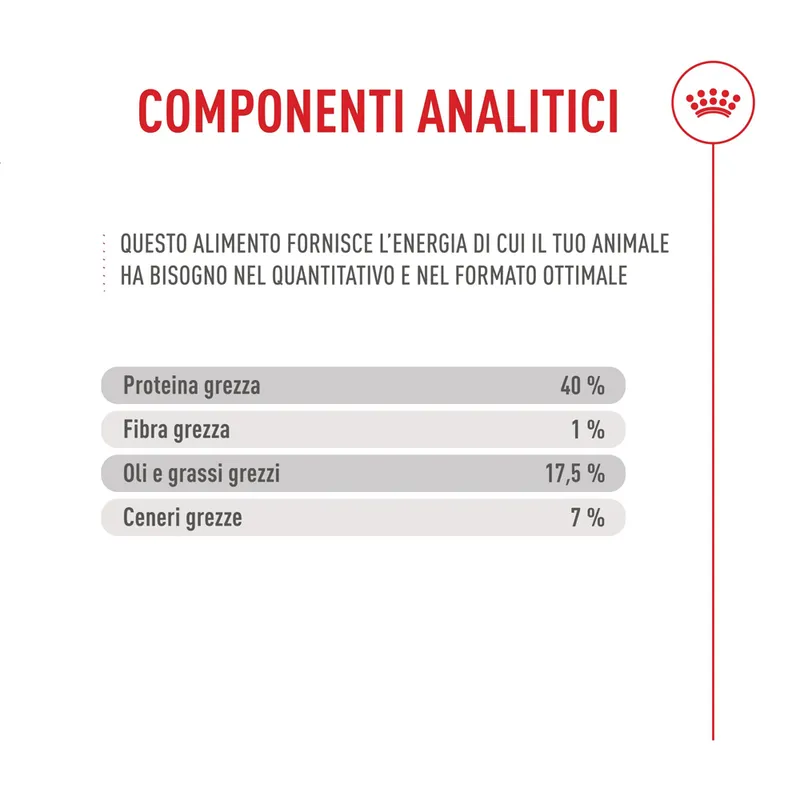 Royal Canin Fussy Exigent 10kg Crocchette Gatti Esigenti