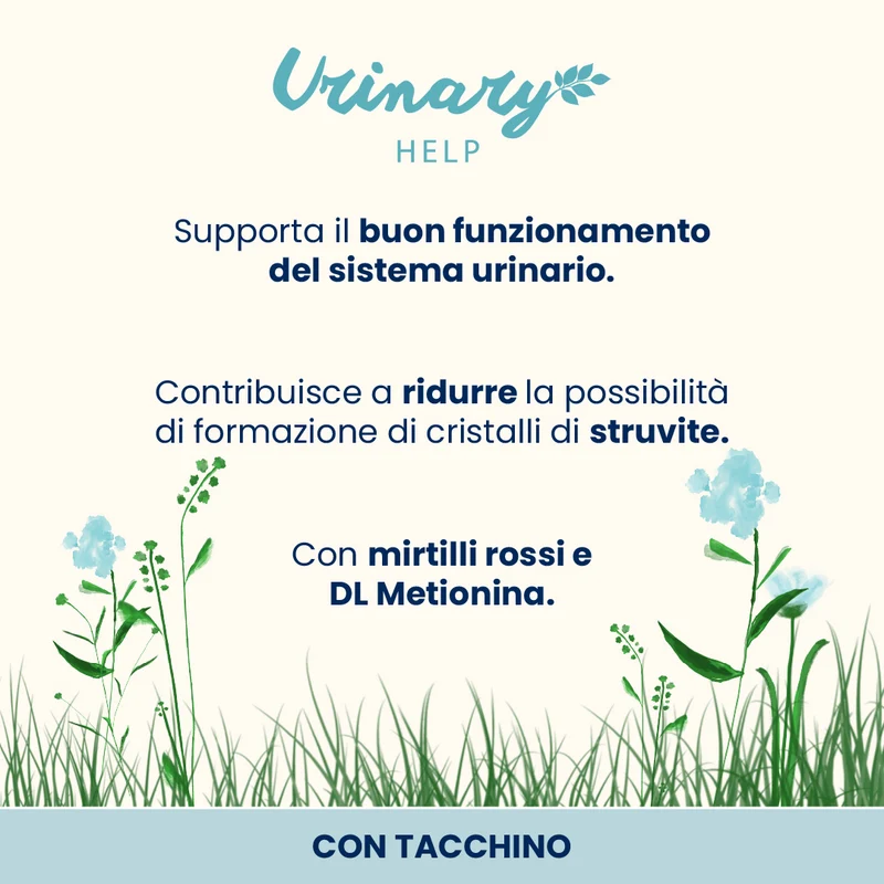 Almo Nature Cat Functional - Urinary Help con Tacchino 70gr