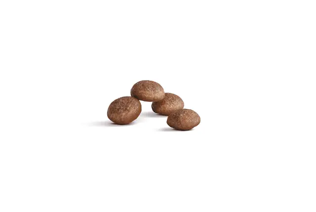 Royal Canin Feline AGEING 11+ 400G