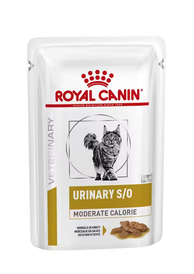 48x85g Royal Canin Urinary S/O Moderate Calorie Straccetti in Salsa