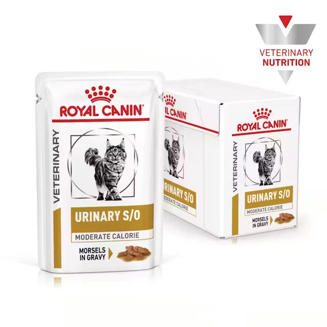 48x85g Royal Canin Urinary S/O Moderate Calorie Straccetti in Salsa
