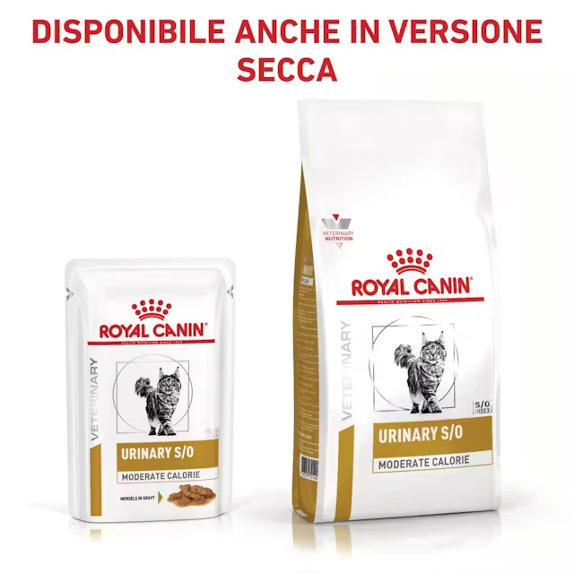 48x85g Royal Canin Urinary S/O Moderate Calorie Straccetti in Salsa