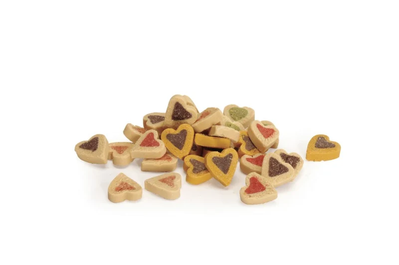 Camon Snack Box Mini Cuoricini Mix Gusti 140 g per Cani Adulti