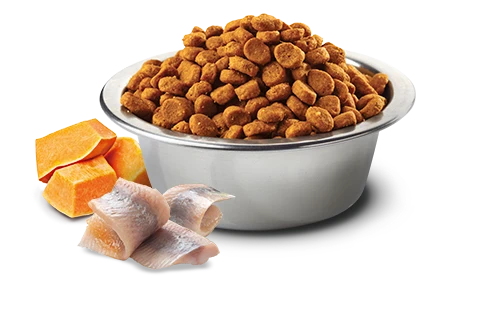 Farmina N&D Ocean Adult Aringa Zucca Arancia 300 g per gatti