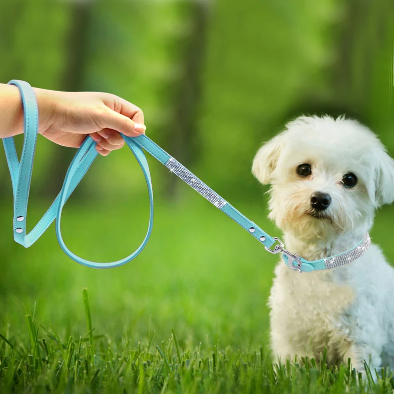 Puppy Collars | Rhinestone Dog Collar