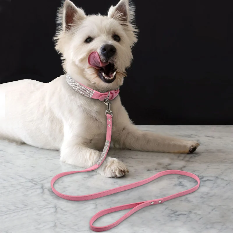 Puppy Collars | Rhinestone Dog Collar
