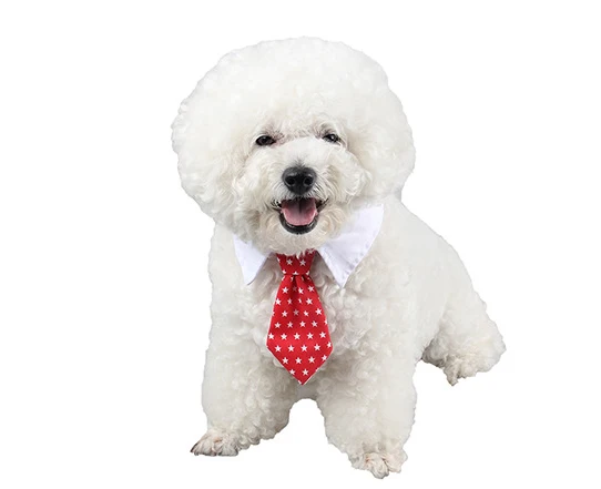 Dog Bow Ties for Puppies and Dogs