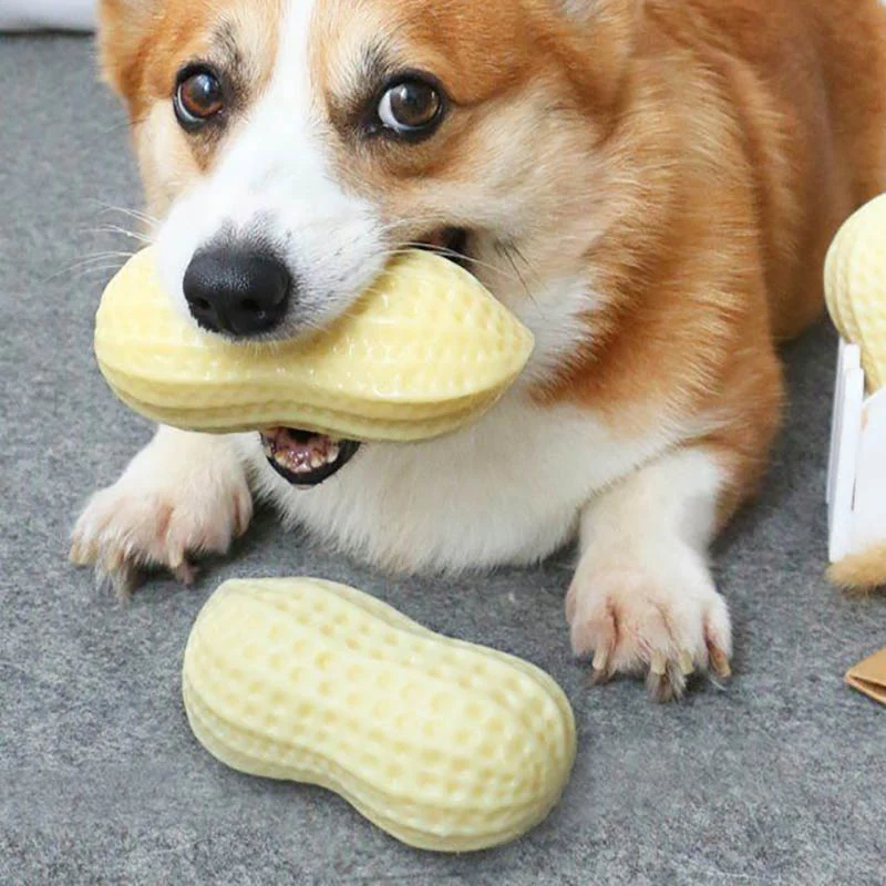 Dog Peanut Butter Toy | Peanut Butter Flavored Dog Toys