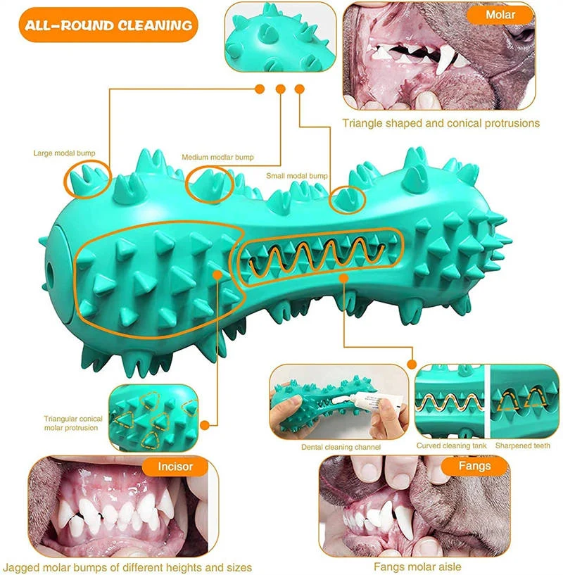 Chew Toys for Aggressive Chewers | Teething & Soothing Flexible Toy