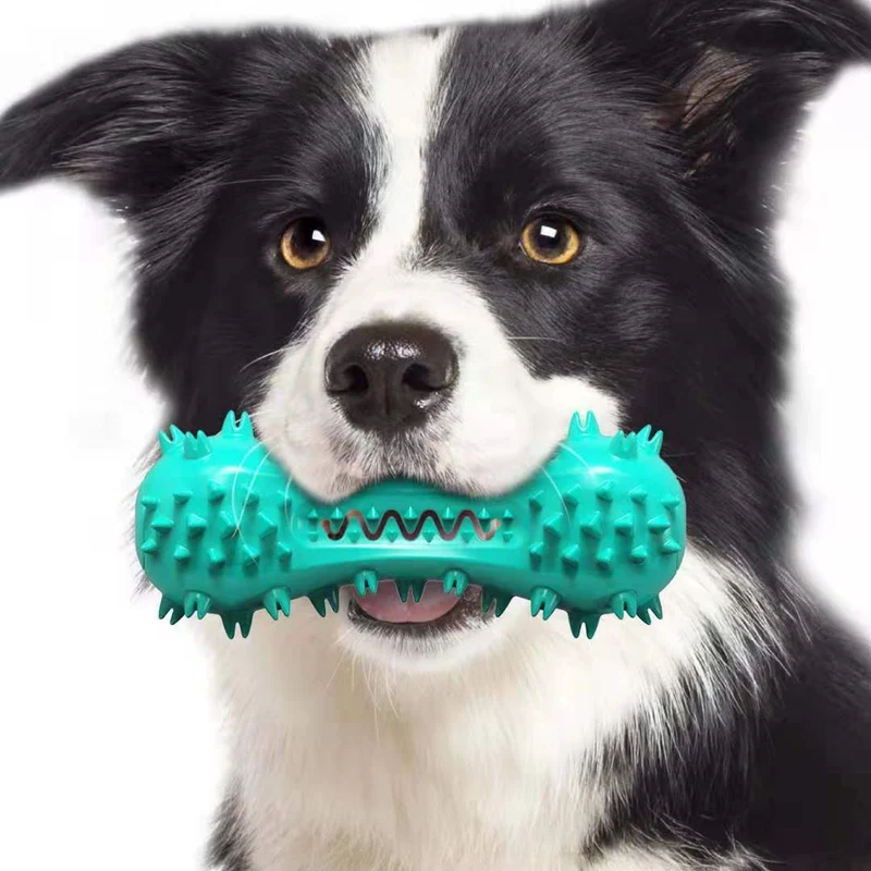 Chew Toys for Aggressive Chewers | Teething & Soothing Flexible Toy