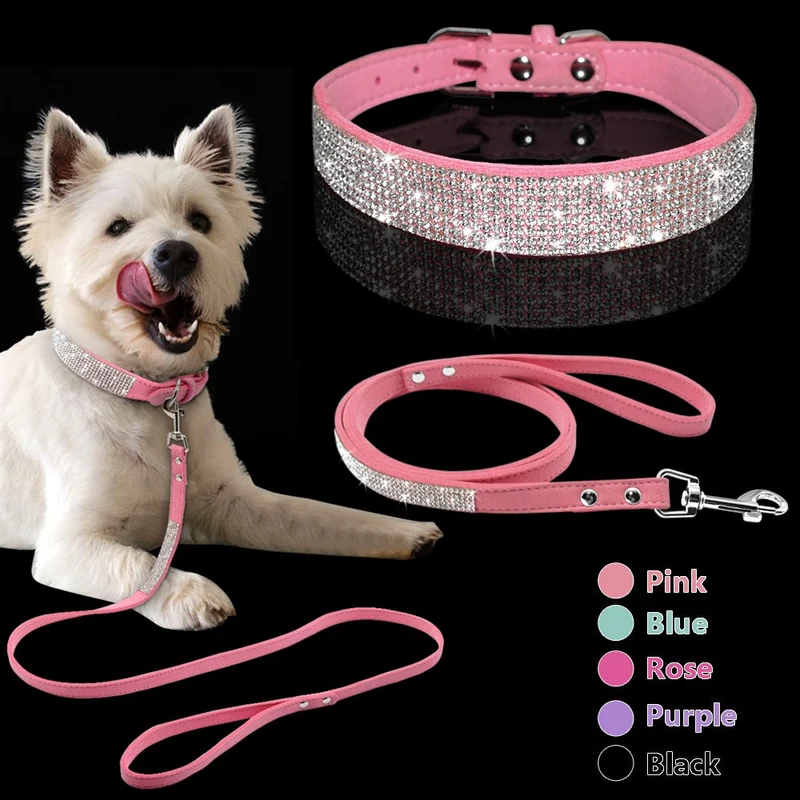 Dog Collars and Leashes