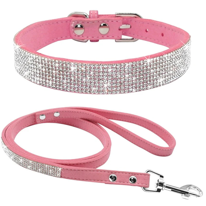 Dog Collars and Leashes
