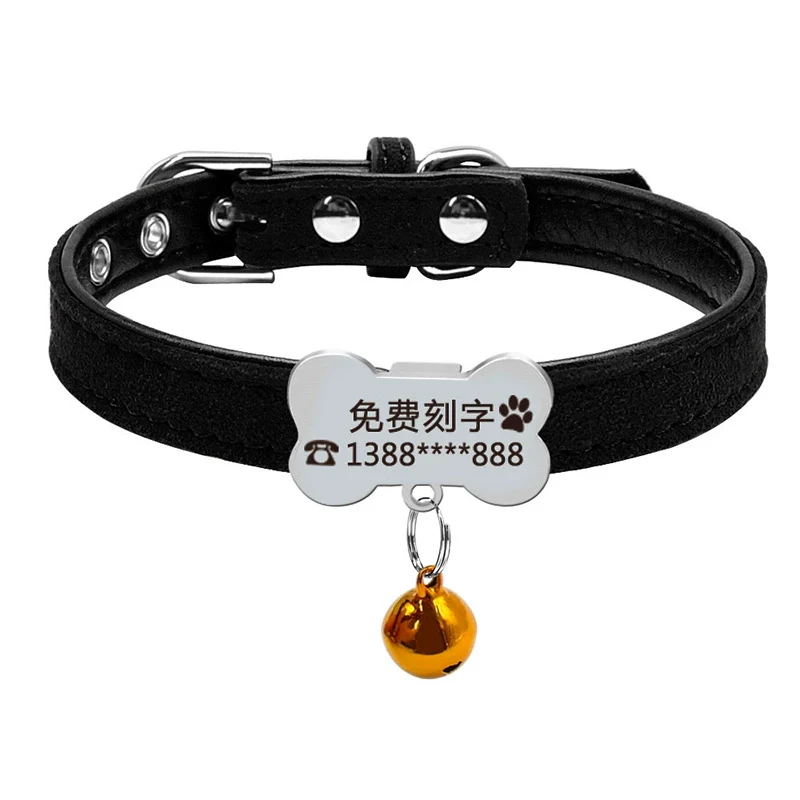 Teddy Laser Bichon Schnauzer Minlature Pinscher Collar